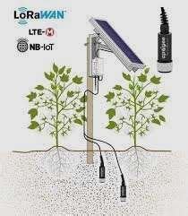 Iot Program for Soil Sensor 的图像结果