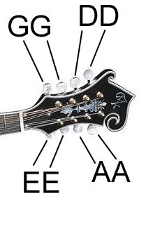 Mandolin Tuning