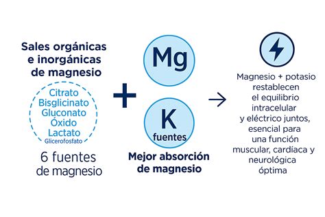 Levels Up Magnesio y Potasio 60 comprimidos | Bioserum