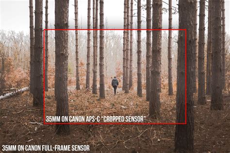 Camera Sensor Size Graph 的图像结果
