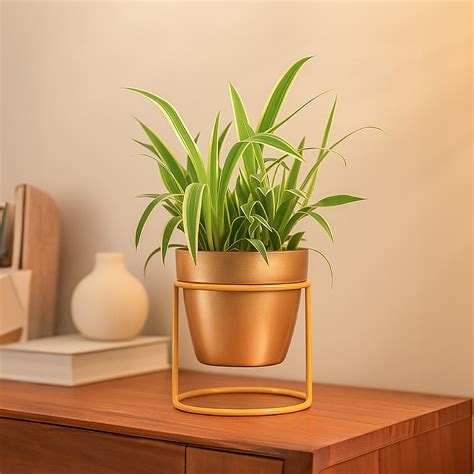 Nyx Planter – Ugaoo
