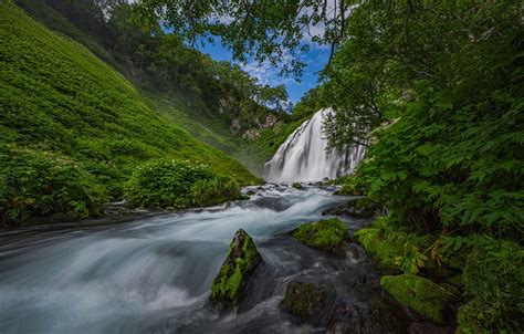 Wallpaper forest, river, waterfall, slope, Russia, Kamchatka, Alexander ...