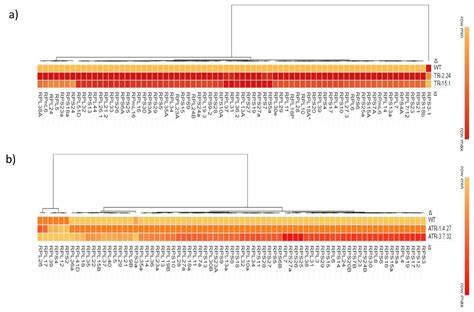 Involvement of Target of Rapamycin (TOR) Signaling in the Regulation of ...