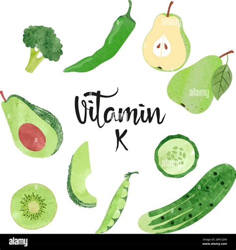 Green vegetables and fruits. Vector illustration of Vitamin K rich foods Stock Vector Image ...