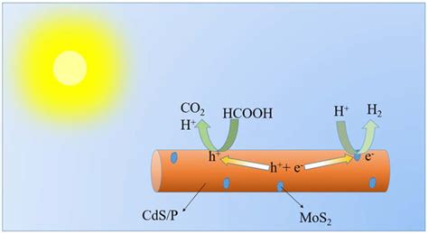 Boosting CdS Photocatalytic Activity for Hydrogen Evolution in Formic ...