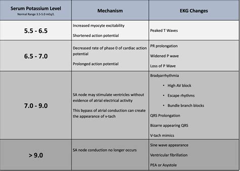 potassium normal range