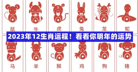 2019年生肖表号码表图_星座网