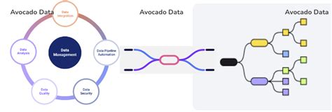About Us - Data lake company | Avocado Datalake