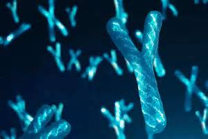 Is the Y chromosome disappearing? Scientists reveal the new gene that ...