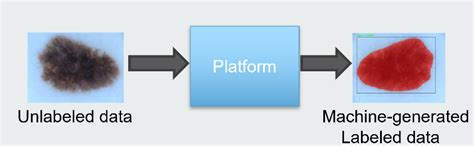 Image result for Auto Labelling Machine Learning