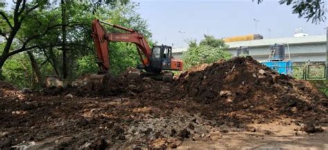 Newsband - Environmentalist raise concerns as trees choked with debris ...