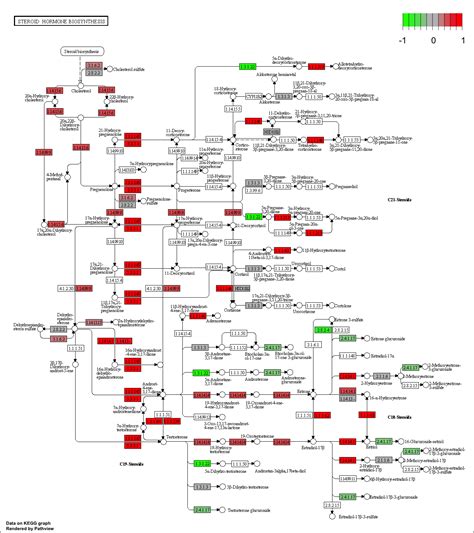 Image result for Structure Genetics Software User Guide