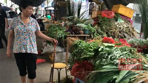 【原创】湛江草药阿姨 - 从山上摘草药到湛江的市场卖 这些阿姨收入真不错 - YouTube