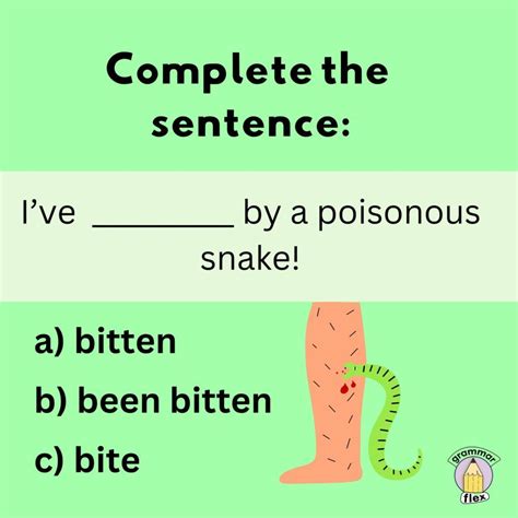 How to Use Bit or Bitten (Irregular Verb Conjugations) | GrammarFlex