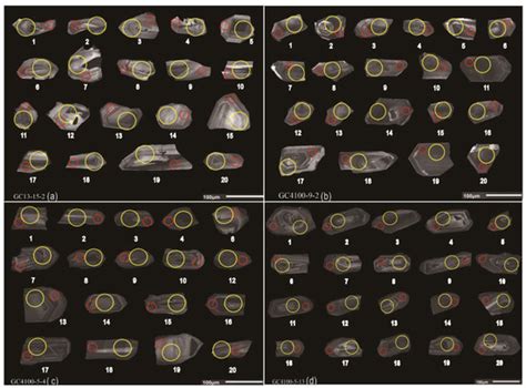 In Situ LA-ICP-MS U-Pb Geochronology, Sr-Nd-Hf Isotope and Trace ...