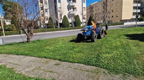 Decoro urbano e verde pubblico: l'assessore Campagnolo, "Nuovo prato ...