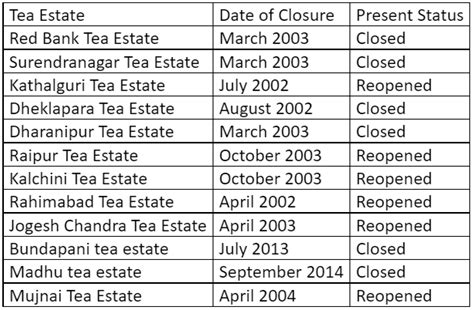 A Ray of Hope After 6 Years of Gloom as Bagrakote Tea Garden in Dooars ...