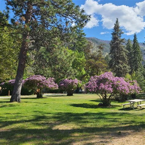 Twenty-Five Mile Creek State Park Camping | Manson, Washington