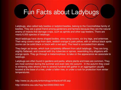 PPT - The Fascinating World of Ladybugs: Fun Facts and Educational ...