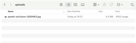 Python Flask File Picker 的图像结果