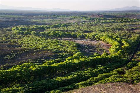 Sing birds, flowing waters: Arizona’s San Pedro riparian NCA - The ...