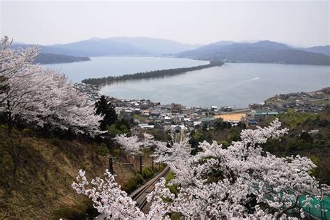花見三昧 ぶら丹後 花鳥風月