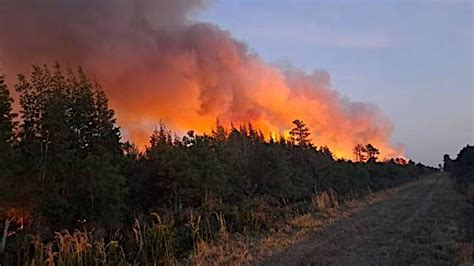 Wildfire in N.E. NC could cause smoky conditions on the OBX | 13newsnow.com