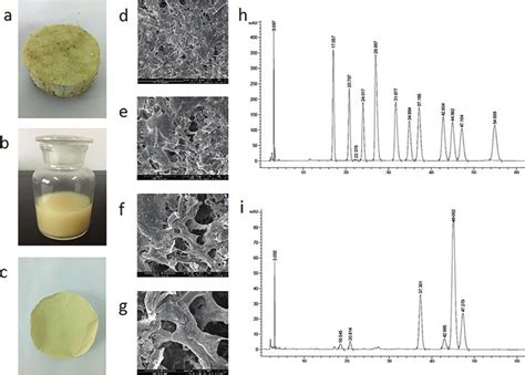 Image result for TG 5 Tutorial