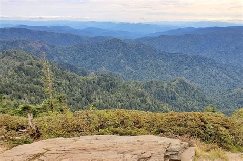 3+ trails to hike to Mt LeConte summit PICS + mountain viewing areas ⛰🐻 ...