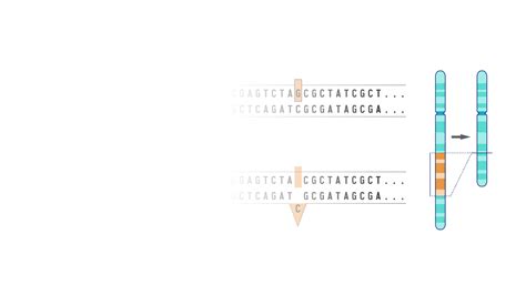 Image result for Deletion Algorithm