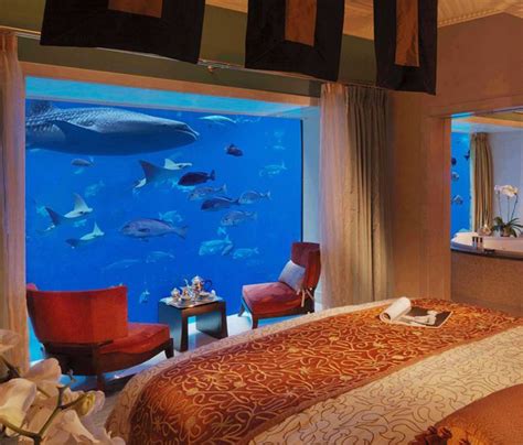 Underwater Hotel Room Price Dubai at Anglea Will blog