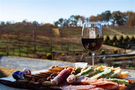 Big Door Vineyards - Vineyard - White, Georgia