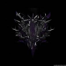 Black Mamba Wallpaper Iphone by Black Mamba Wallpapers Wallpaper Cave Black Mamba Wallpaper Iphone