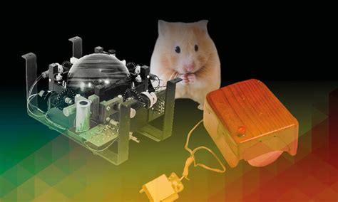 Computer Old Mouse Diagram 的图像结果