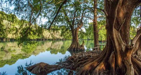 Explora la Maravilla Natural del Lago de Camécuaro en Michoacán ...