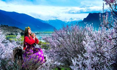 西藏林芝深度游攻略-西藏林芝桃花节是什么时候？-西藏林芝最佳拍摄地有哪些？