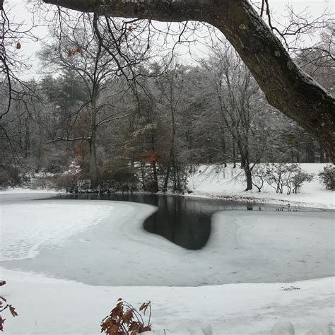 BERKSHIRE ATHENAEUM, PITTSFIELD'S PUBLIC LIBRARY - Pittsfield MA ...