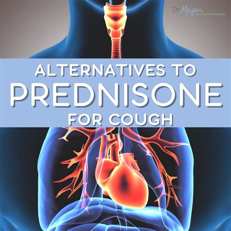 Alternatives to Prednisone for Cough | Dr. Megan