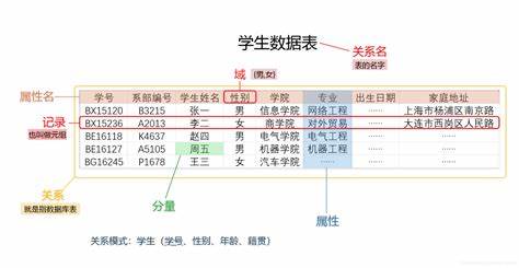 数据库主码和外码举例