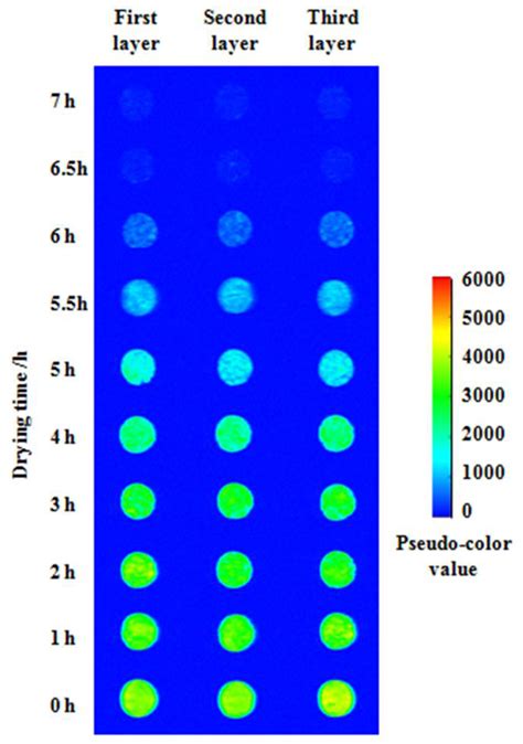 Water Status and Predictive Models of Moisture Content during Drying of ...