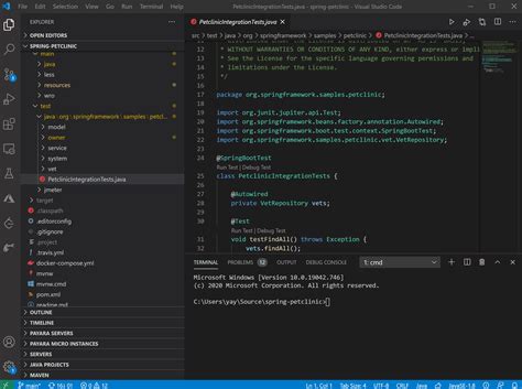 Can Visual Studio Run Java 的图像结果