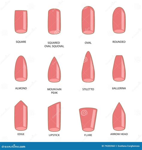 Set of Different Shapes of Nails on White. Nail Shape Icons Stock ...
