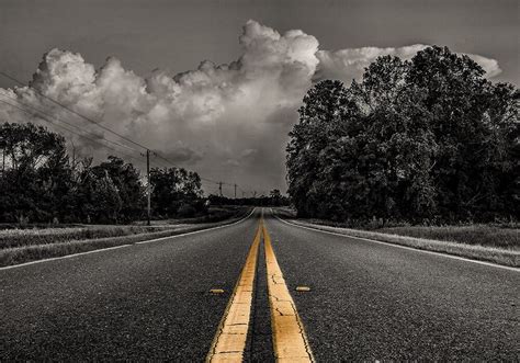 Image result for Isolated Color Photography