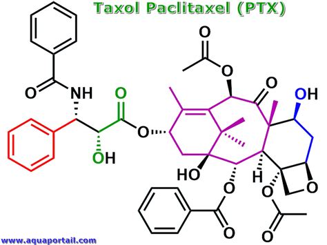 Taxol : définition et explications