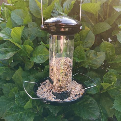 Heavy Duty Flick and Click Hanging Bird Mealworm Feeder