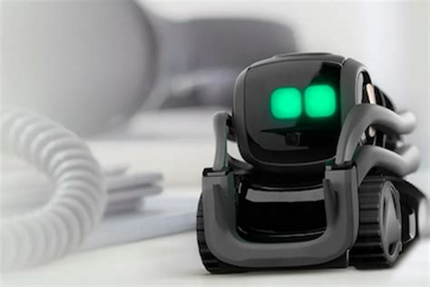 Vector Robot 的图像结果