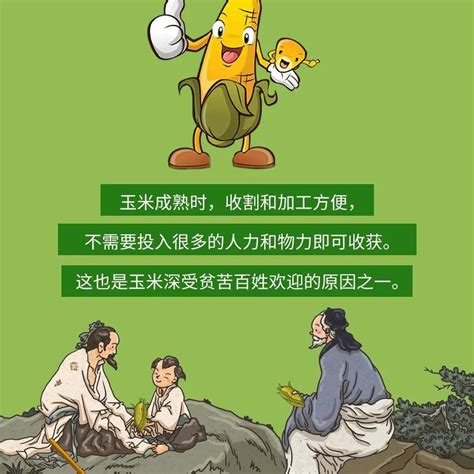 《玉米人（译文经典）》小说在线阅读-起点中文网