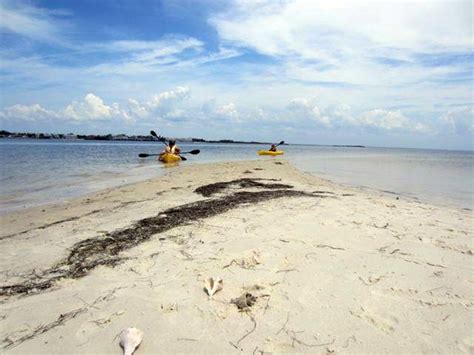 Rolling With The Tides in Cedar Key, Florida - Cheddar Yeti