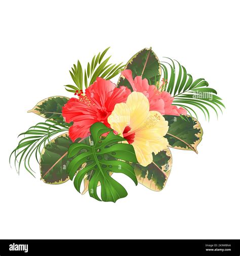 Hawaiian Hibiscus Arrangement Hibiscus Flowers Tropical Hibiscus