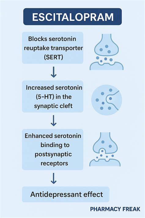 Mechanism of Action - Pharmacy Freak